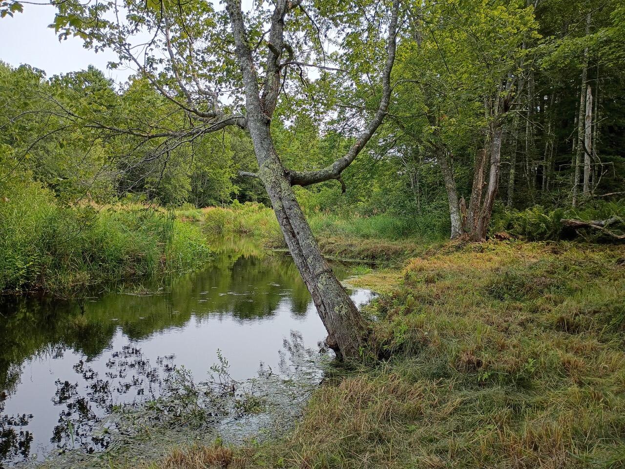 146 Lower Round Pond Road Bristol, ME 04539 - Photo 40 of 53 1000003556