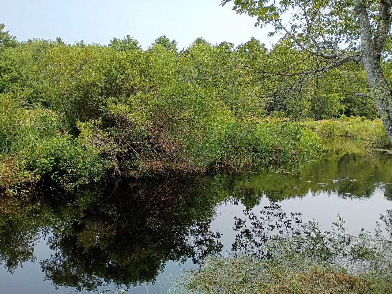 146 Lower Round Pond Road Bristol, ME 04539 - Photo 41 of 53 1000003558