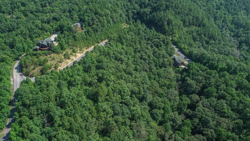 76 Redtail Road Sevierville, TN 37862 - Photo 13 of 23