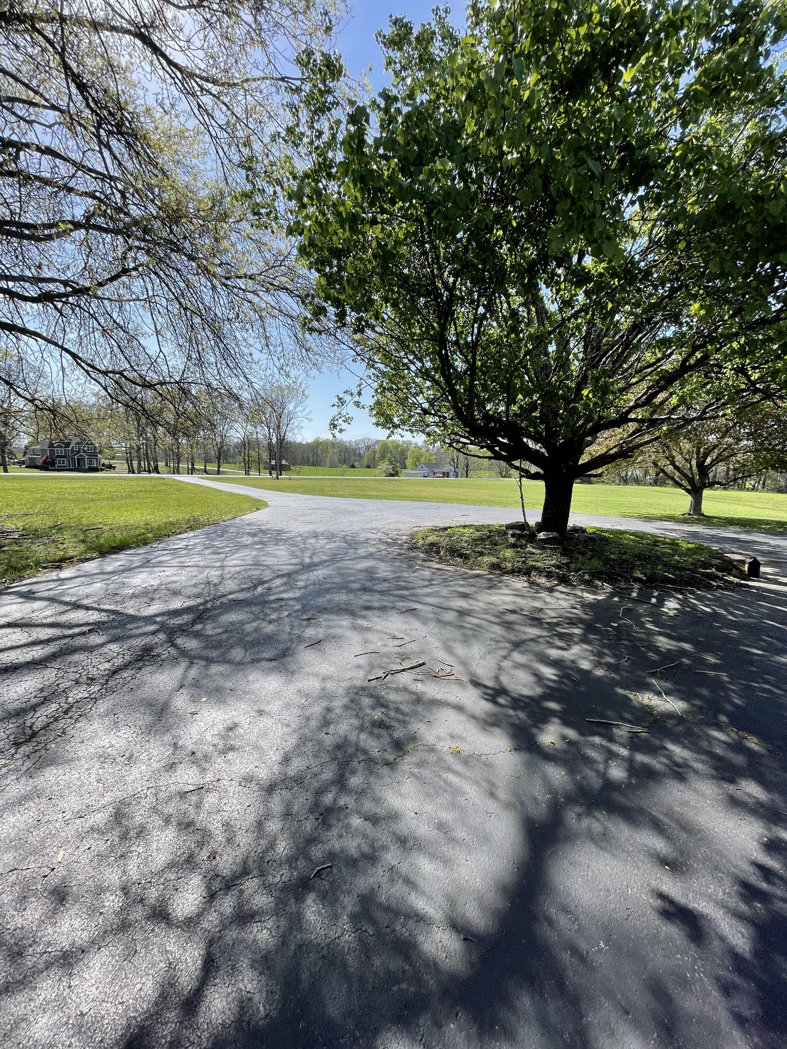 912 Long Creek Road Lafayette, TN 37083 - Photo 5 of 21 a view of a yard with a large tree