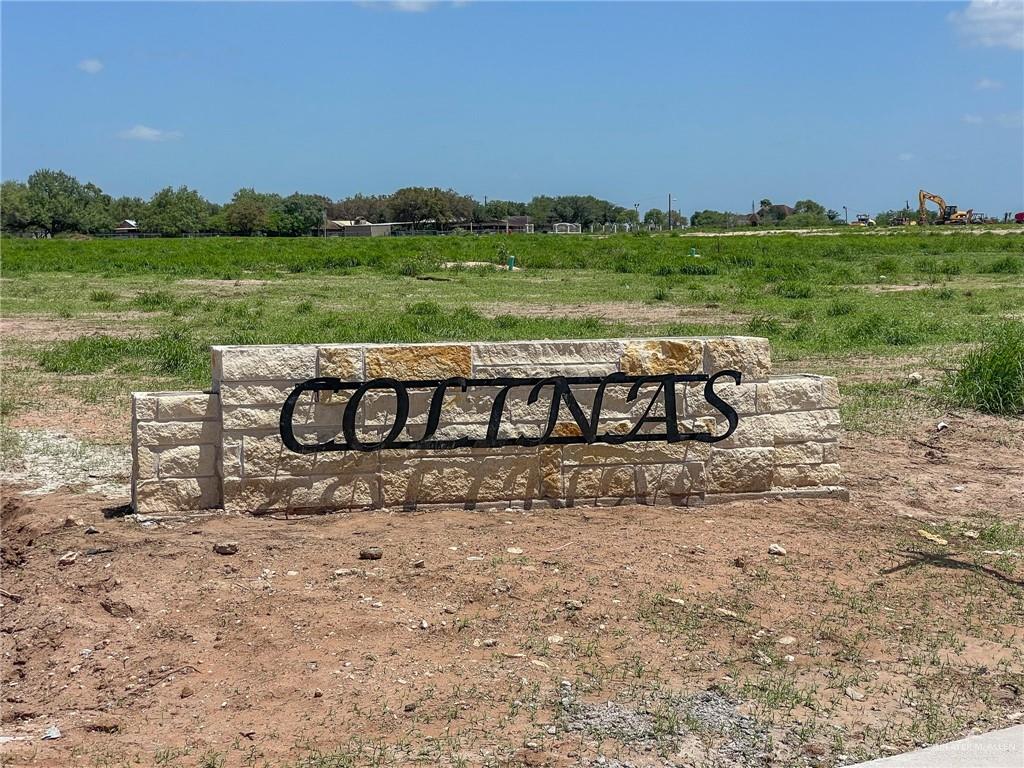 Tbd La Carla Road Rio Grande City, TX 78582 - Photo 14 of 16