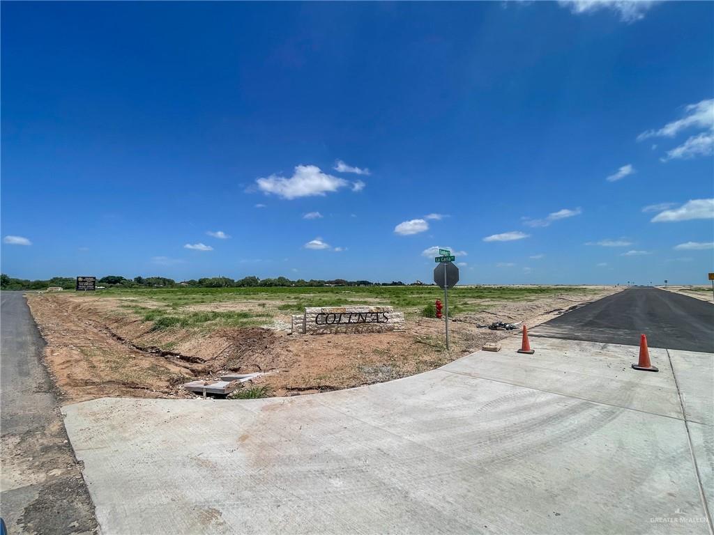 Tbd La Carla Road Rio Grande City, TX 78582 - Photo 15 of 16