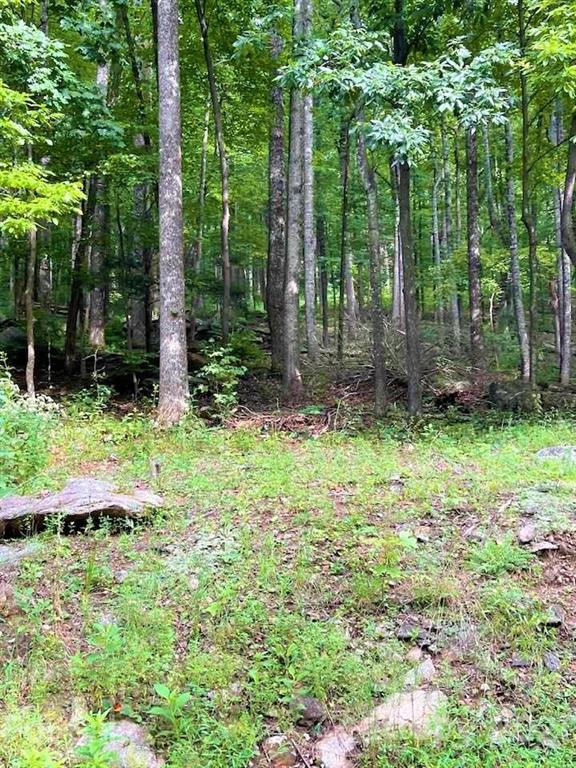 1730 Judes Gap Road, Unit 29 Mill Spring, NC 28756 - Photo 20 of 33 a view of outdoor space and yard