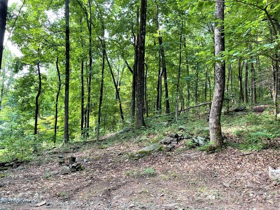 1730 Judes Gap Road, Unit 29 Mill Spring, NC 28756 - Photo 3 of 33 a view of outdoor space and green space