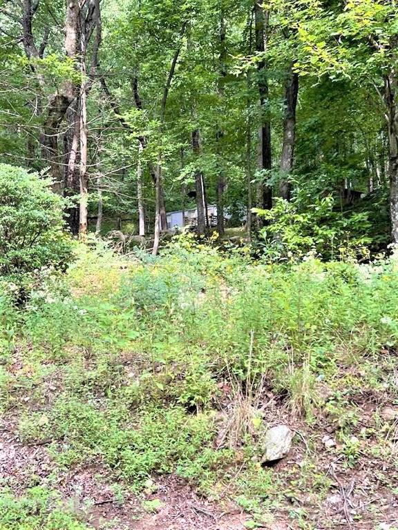 1730 Judes Gap Road, Unit 29 Mill Spring, NC 28756 - Photo 22 of 33 a backyard of a house with lots of green space and fountain