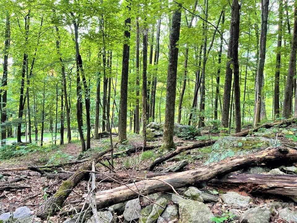 1730 Judes Gap Road, Unit 29 Mill Spring, NC 28756 - Photo 23 of 33 a view of backyard with green space