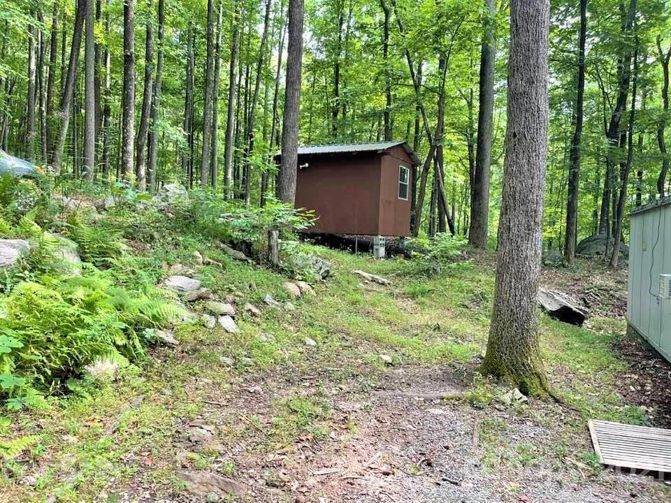 1730 Judes Gap Road, Unit 29 Mill Spring, NC 28756 - Photo 24 of 33 a view of backyard with green space