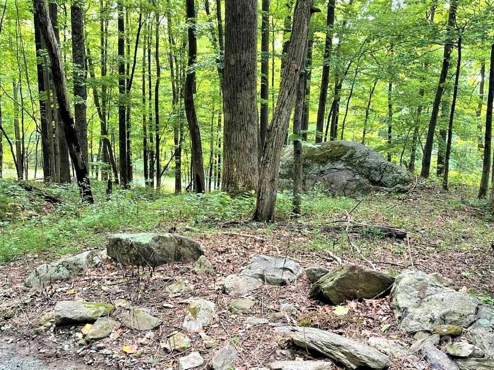 1730 Judes Gap Road, Unit 29 Mill Spring, NC 28756 - Photo 25 of 33 a view of backyard with green space
