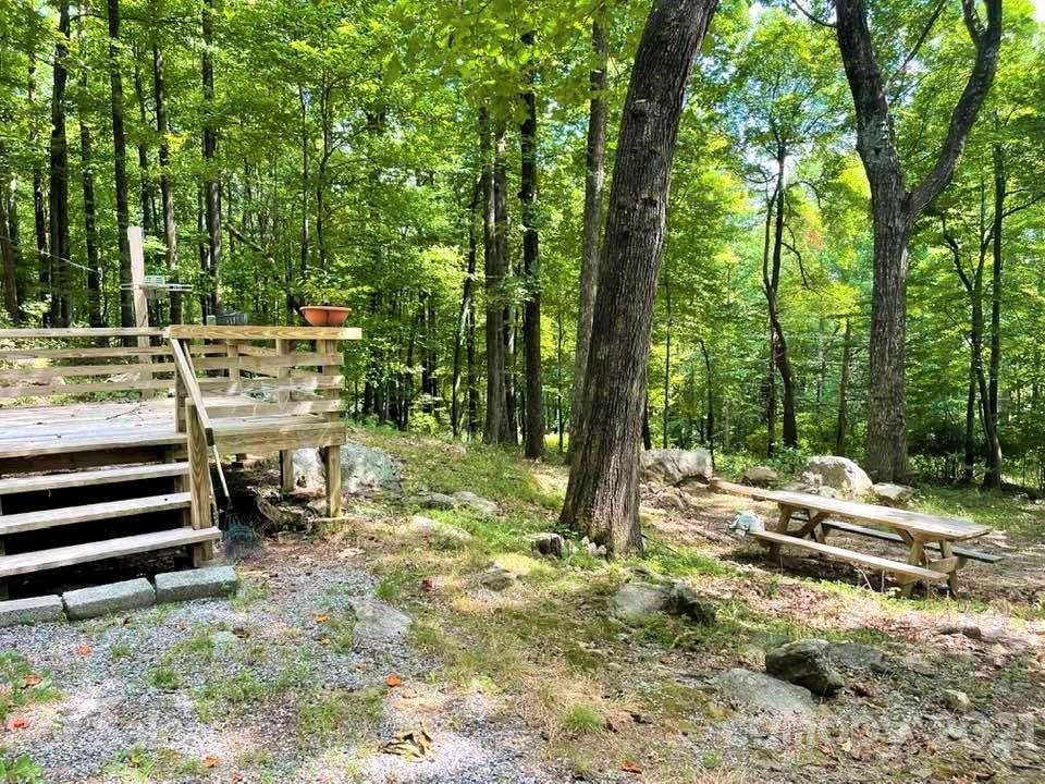 1730 Judes Gap Road, Unit 29 Mill Spring, NC 28756 - Photo 26 of 33 a view of a yard with a tree