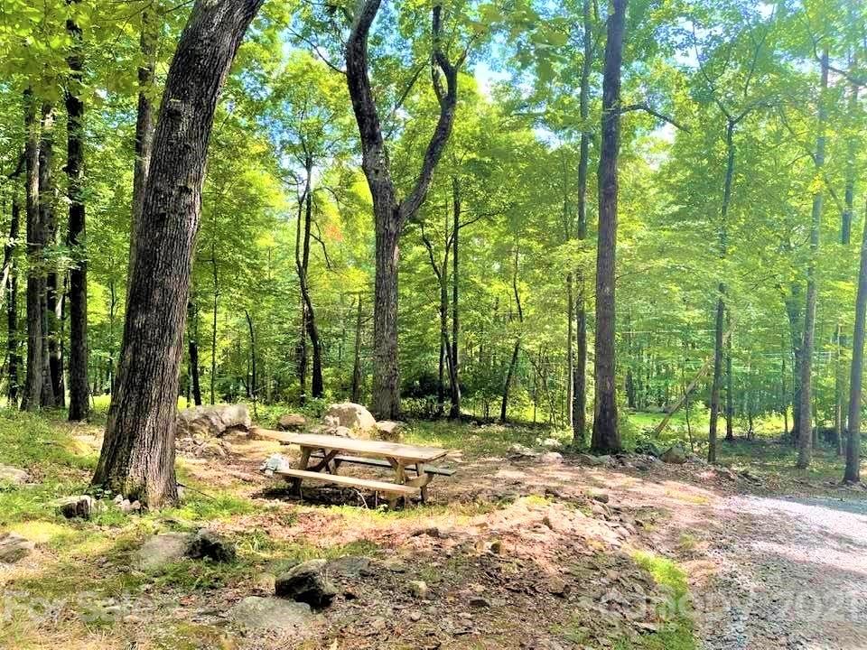 1730 Judes Gap Road, Unit 29 Mill Spring, NC 28756 - Photo 28 of 33 a view of a park with a tree