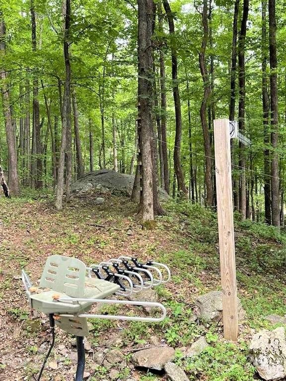1730 Judes Gap Road, Unit 29 Mill Spring, NC 28756 - Photo 29 of 33 a backyard of a house with lots of green space
