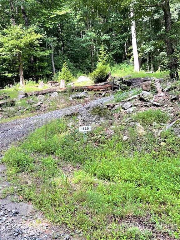 1730 Judes Gap Road, Unit 29 Mill Spring, NC 28756 - Photo 30 of 33 a view of a backyard of the house