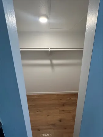 a view of a garden with a bench