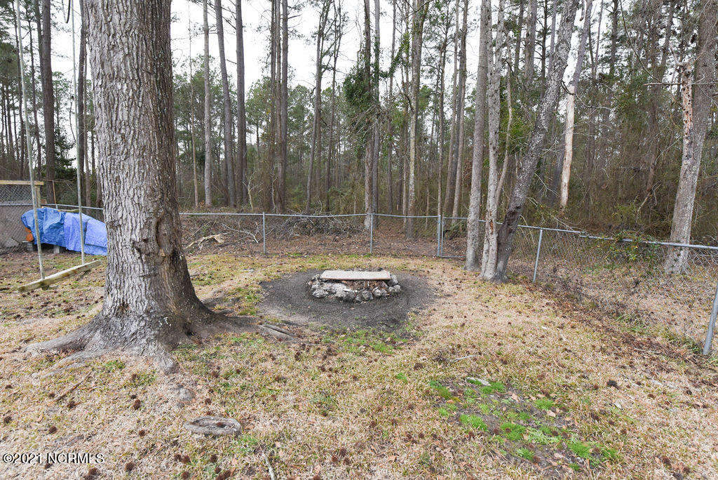 368 Union Chapel Church Road Richlands, NC 28574 - Photo 26 of 30 DSC_0969