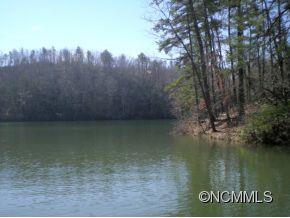 1380 Pkwy N Road Mill Spring, NC 28756 - Photo 24 of 24 a view of a water covered with trees