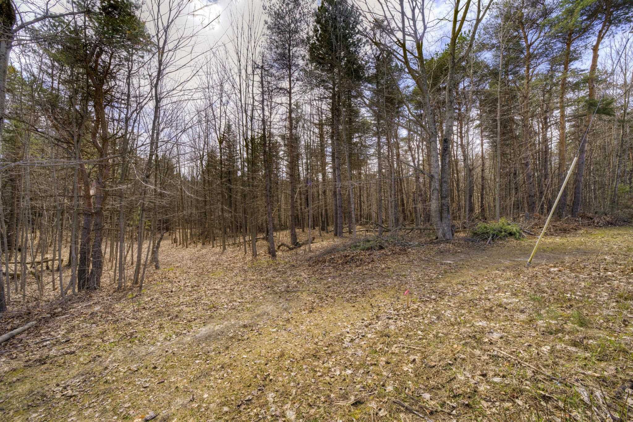 Parcel B East Bodus Road Cedar, MI 49621 - Photo 9 of 10