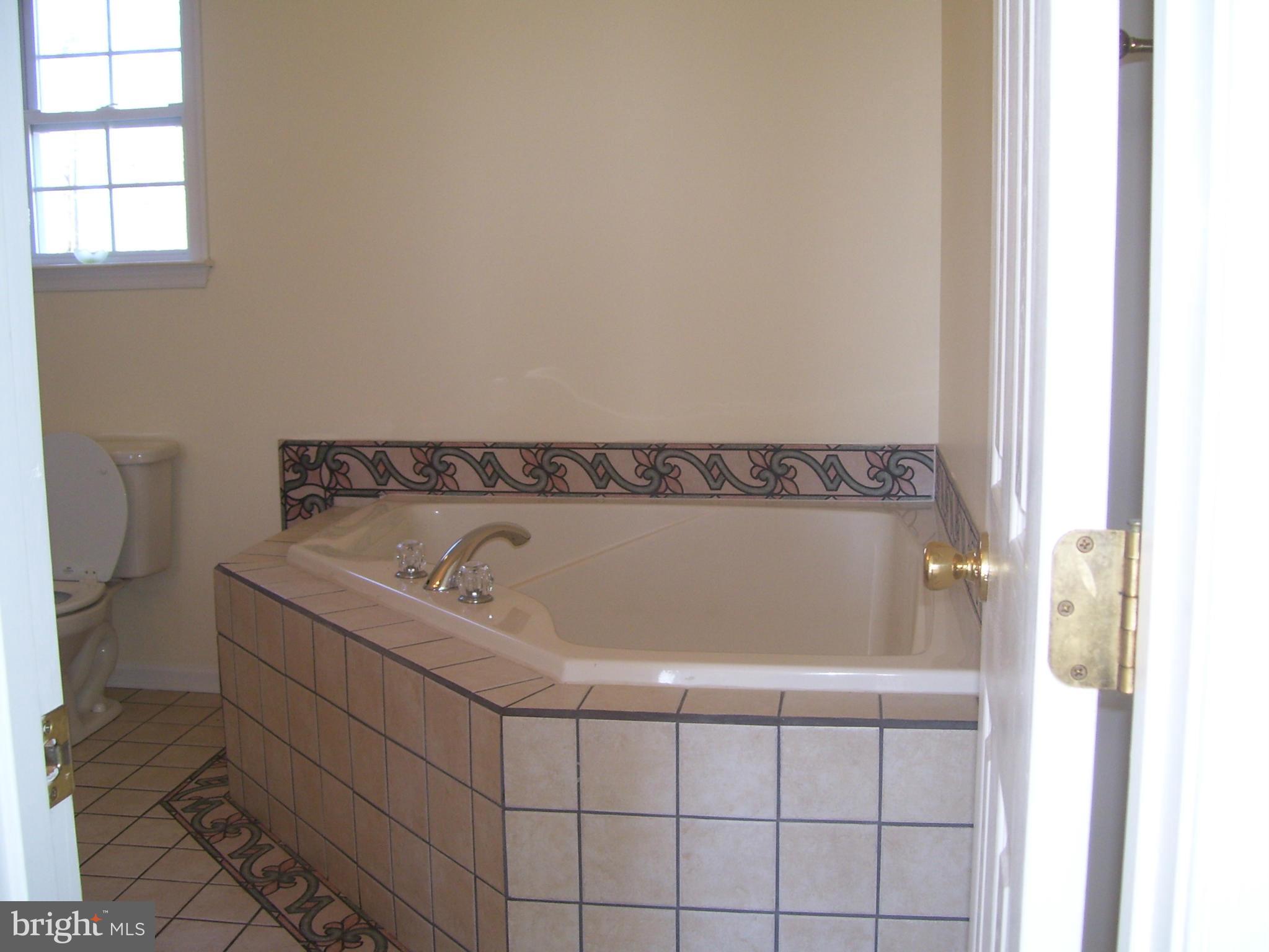 3311 Apple Pie Ridge Road Winchester, VA 22603 - Photo 17 of 23 a bathroom with a bathtub