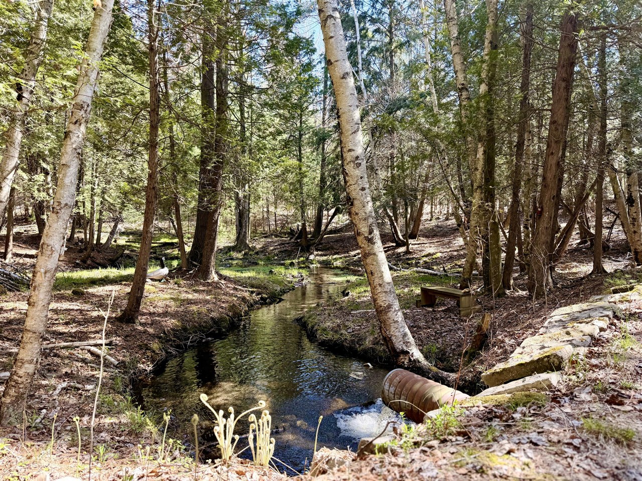 Vl South County Line Road Manistee, MI 49660 - Photo 4 of 23