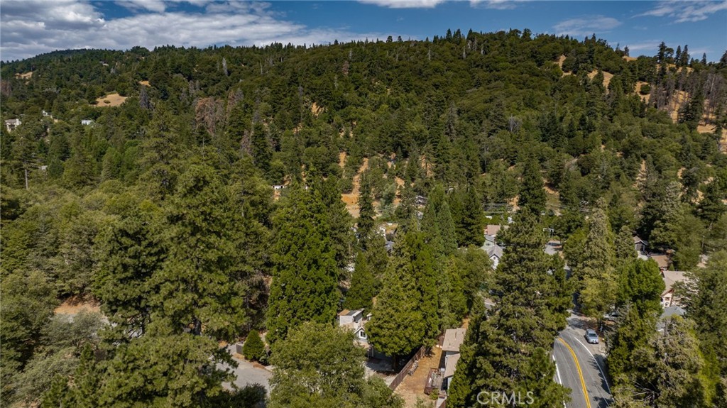 320 Sky View Lane Crestline, CA 92325 - Photo 44 of 50