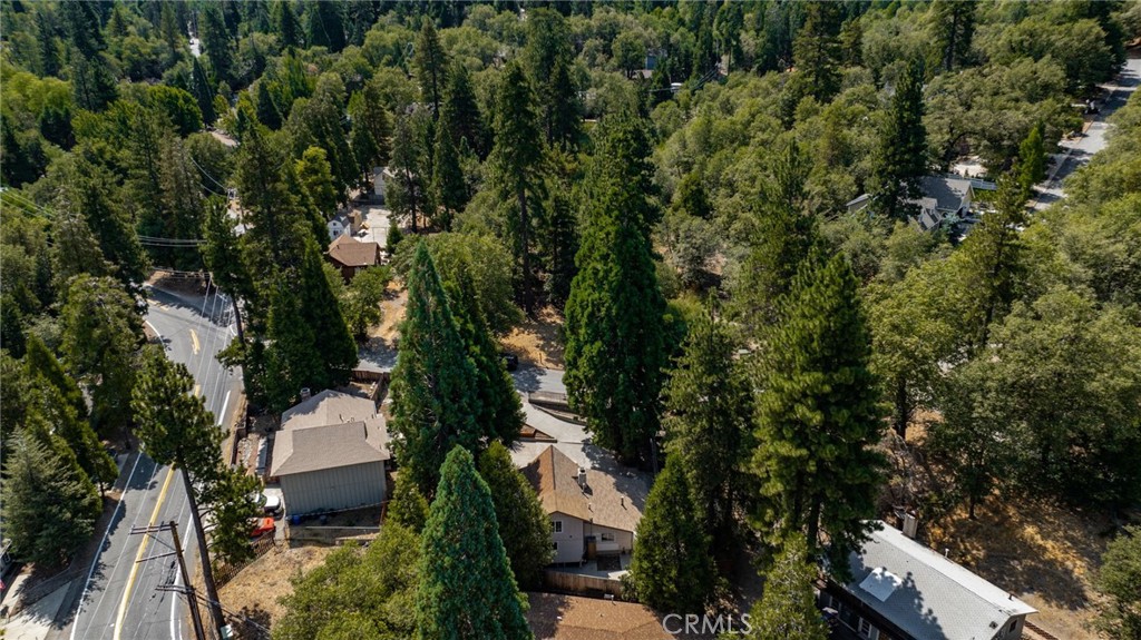 320 Sky View Lane Crestline, CA 92325 - Photo 47 of 50