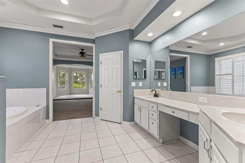 11621 Renaissance View Court Tampa, FL 33626 - Photo 17 of 32