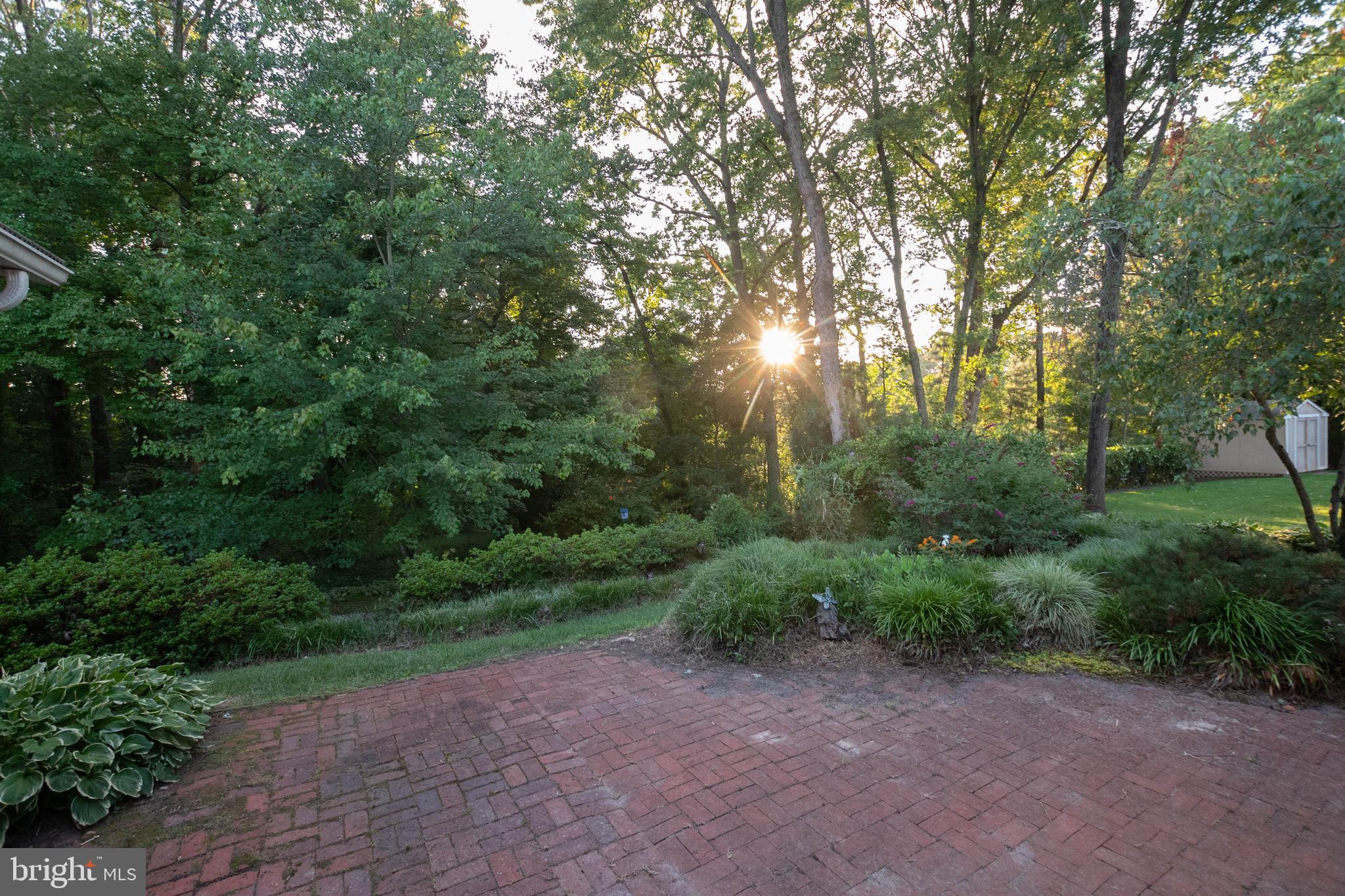 504 Haverhill Road Joppa, MD 21085 - Photo 19 of 20 Magnificent landscaping!