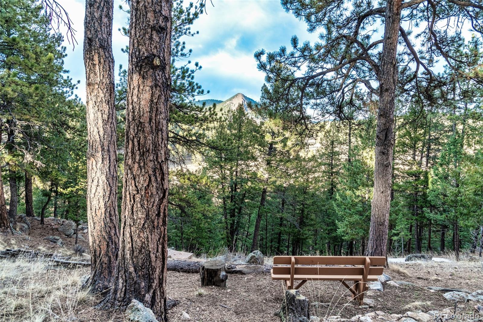 563 Old Corral Road Bailey, CO 80421 - Photo 46 of 50