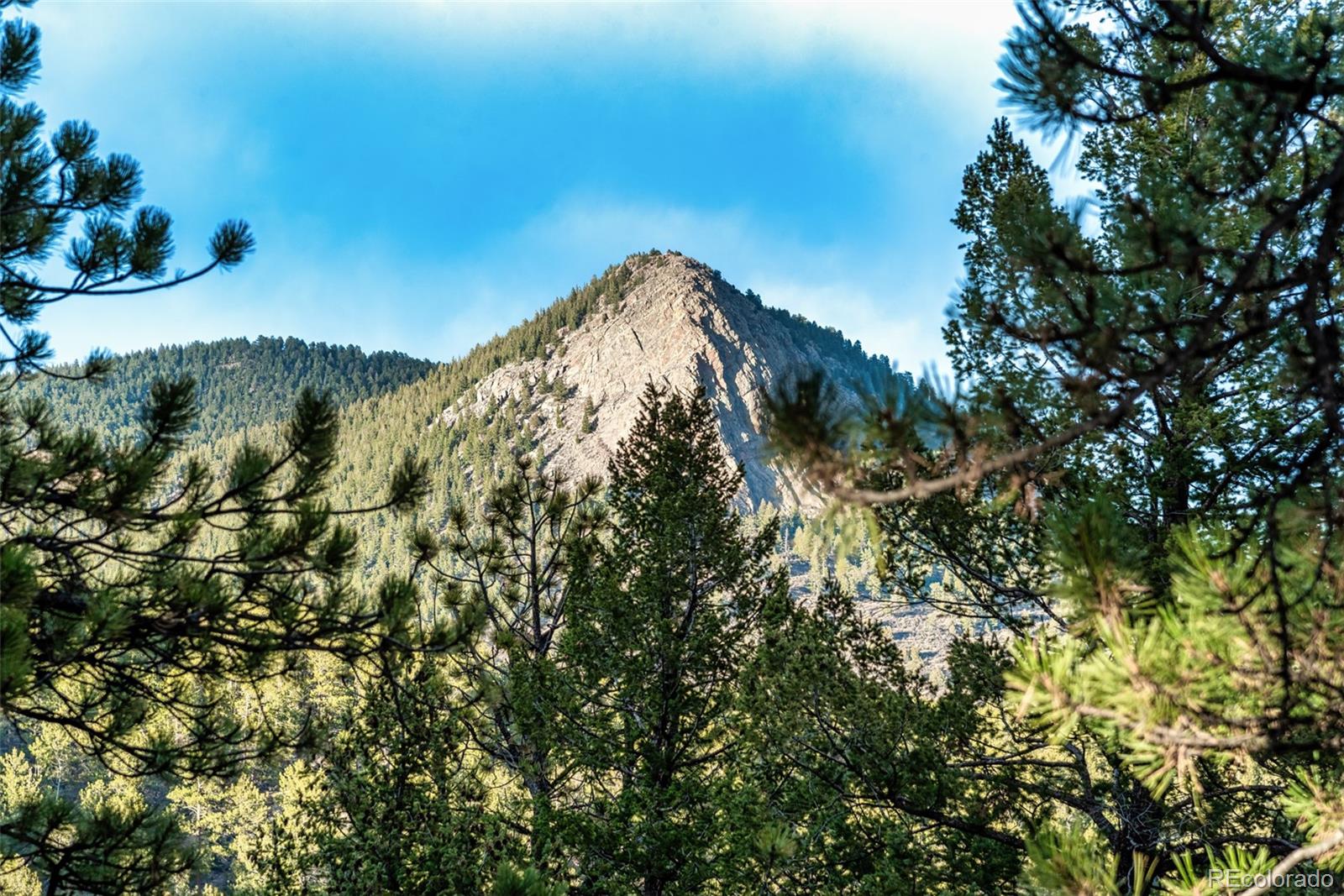 563 Old Corral Road Bailey, CO 80421 - Photo 48 of 50