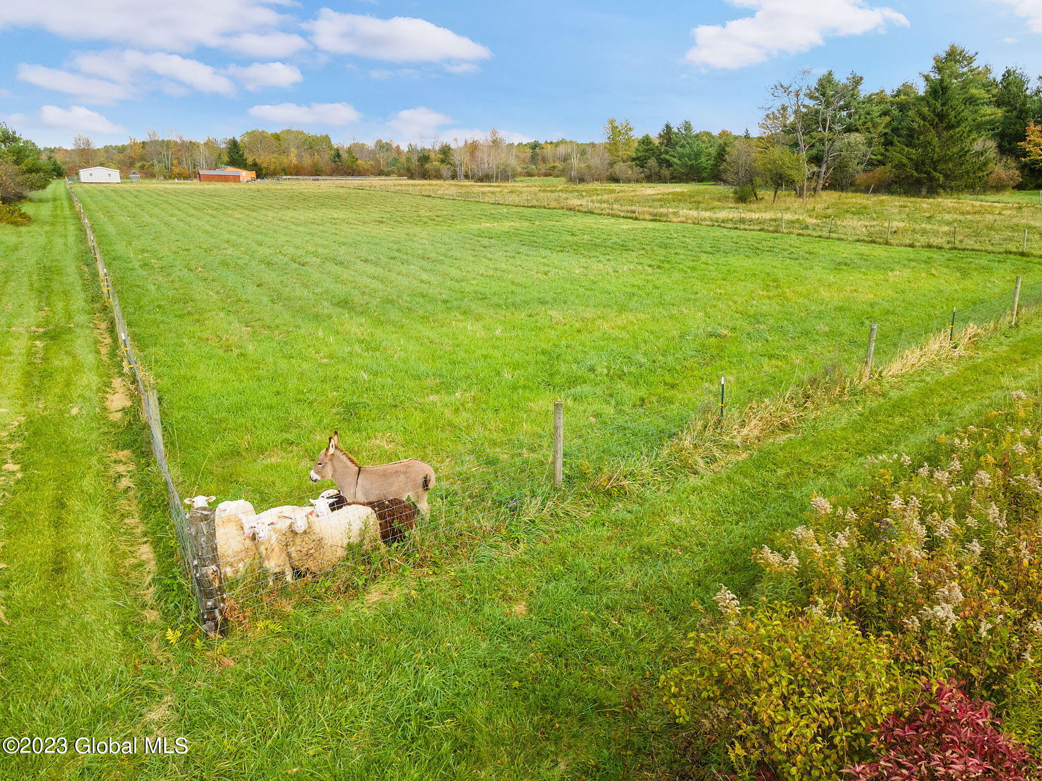 311 Corbin Hill Road Charleston, NY 12072 - Photo 31 of 43 33-web-or-mls-113CorbinHillRd_33