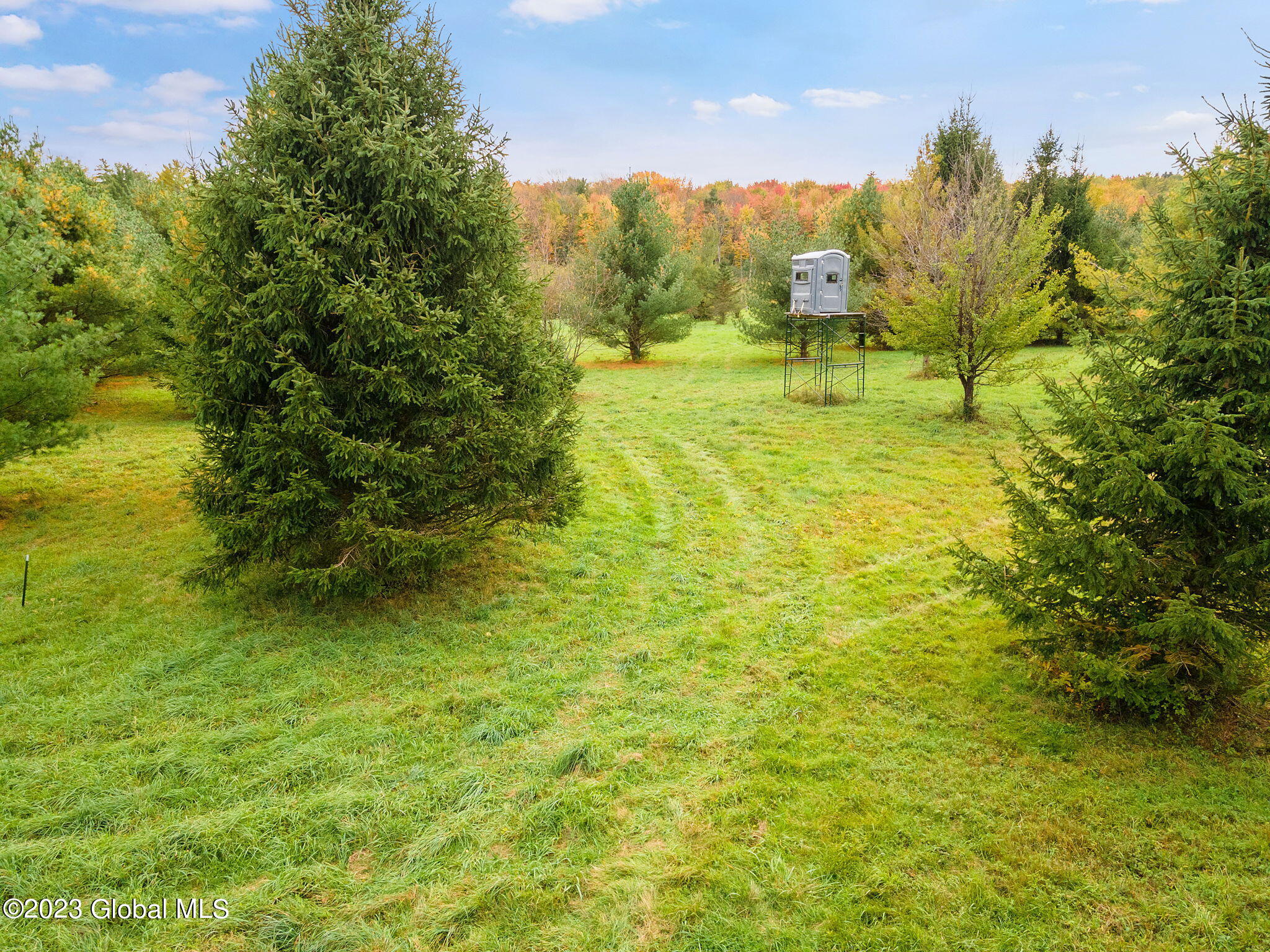 311 Corbin Hill Road Charleston, NY 12072 - Photo 35 of 43 37-web-or-mls-113CorbinHillRd_37