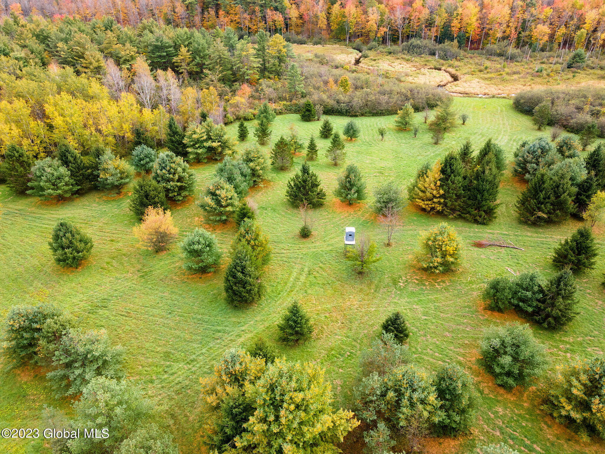 311 Corbin Hill Road Charleston, NY 12072 - Photo 36 of 43 38-web-or-mls-113CorbinHillRd_38