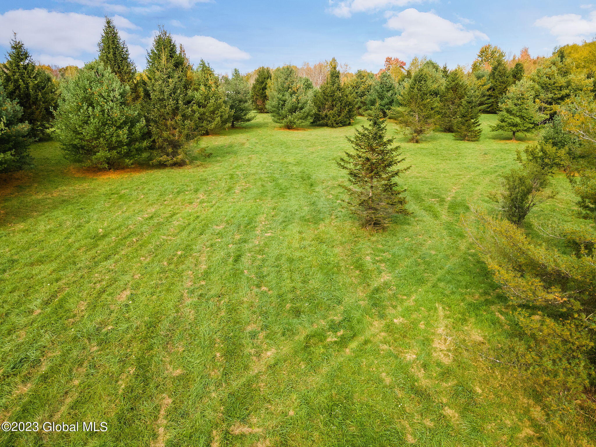 311 Corbin Hill Road Charleston, NY 12072 - Photo 39 of 43 43-web-or-mls-113CorbinHillRd_43