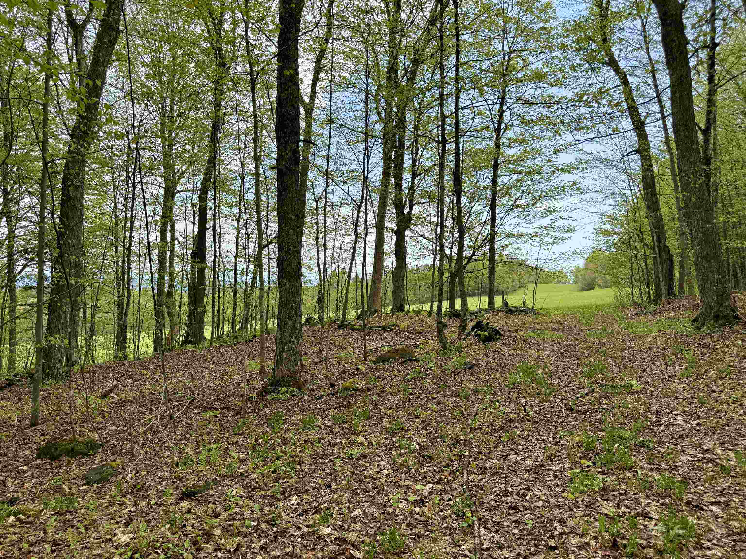 770 Pope Brook Road Danville, VT 05828 - Photo 13 of 14