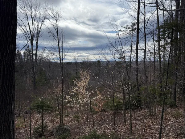 $39,900 | Lot #1 Moose Hill Road, Livermore Falls, ME 04254