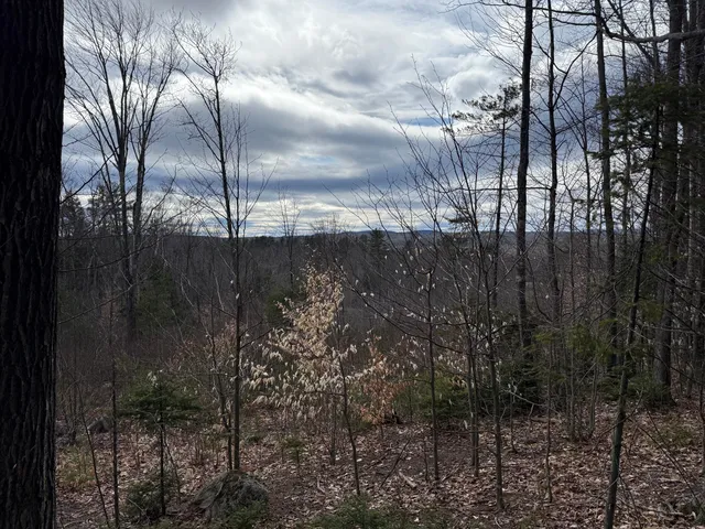 $39,900 | Lot #1 Moose Hill Road, Livermore Falls, ME 04254