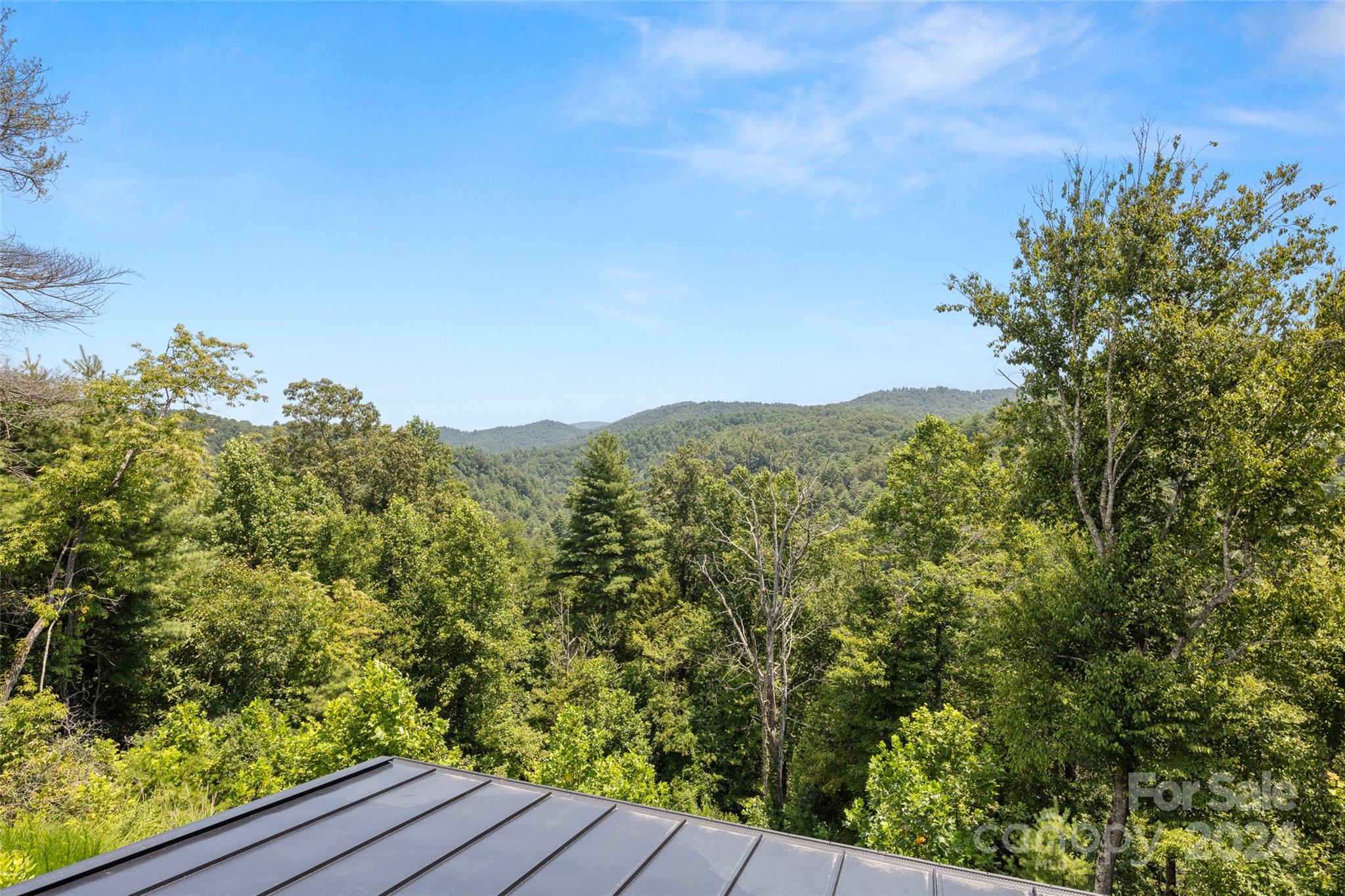 693 Gallimore Road Flat Rock, NC 28731 - Photo 3 of 48 Gallery Image 3