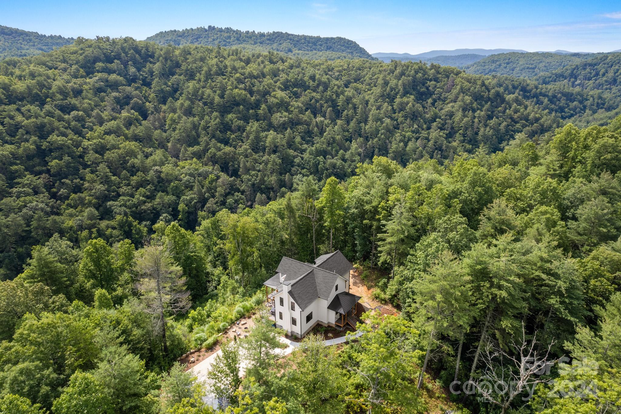 693 Gallimore Road Flat Rock, NC 28731 - Photo 42 of 48 Gallery Image 42