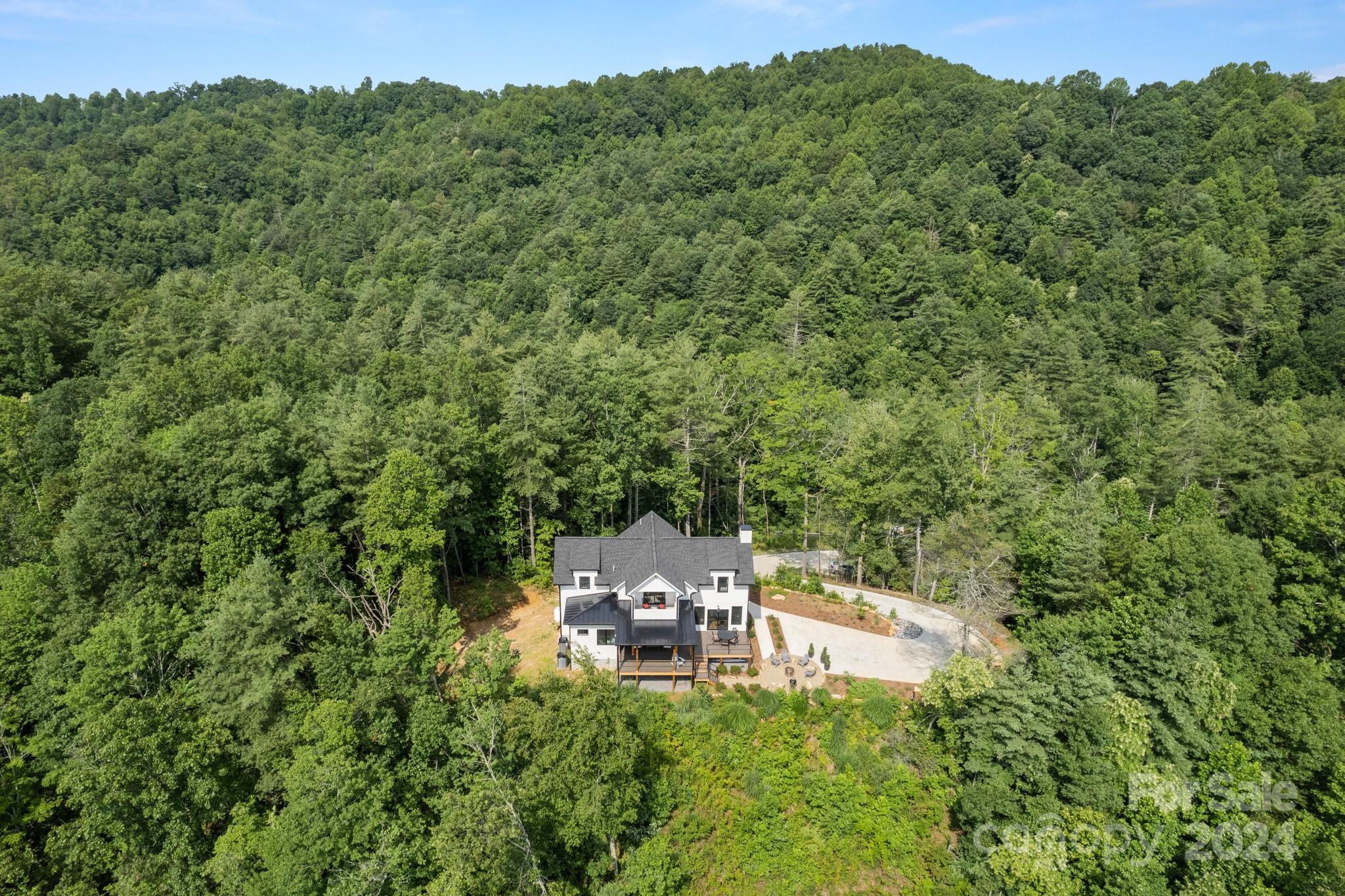 693 Gallimore Road Flat Rock, NC 28731 - Photo 44 of 48 Gallery Image 44