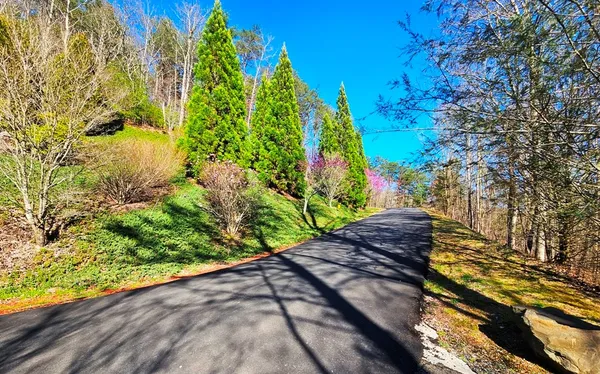 $85,000 | Lot 67 Wilderness Creek Way, Murphy, NC 28906