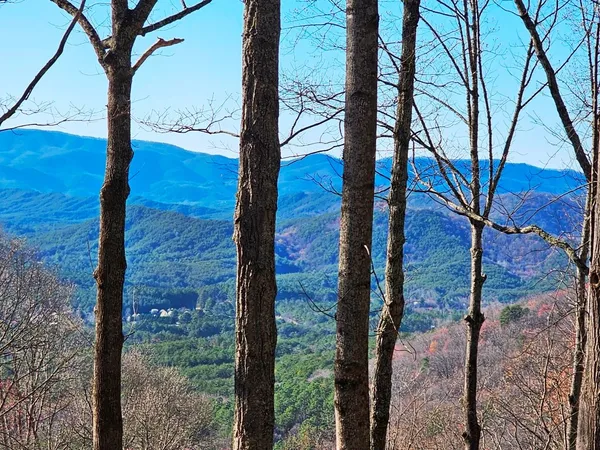 $85,000 | Lot 67 Wilderness Creek Way, Murphy, NC 28906
