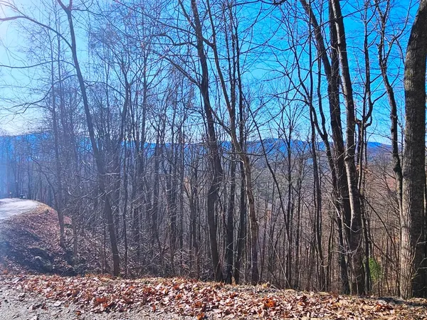 $85,000 | Lot 67 Wilderness Creek Way, Murphy, NC 28906