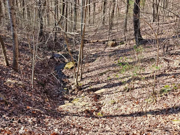 $85,000 | Lot 67 Wilderness Creek Way, Murphy, NC 28906