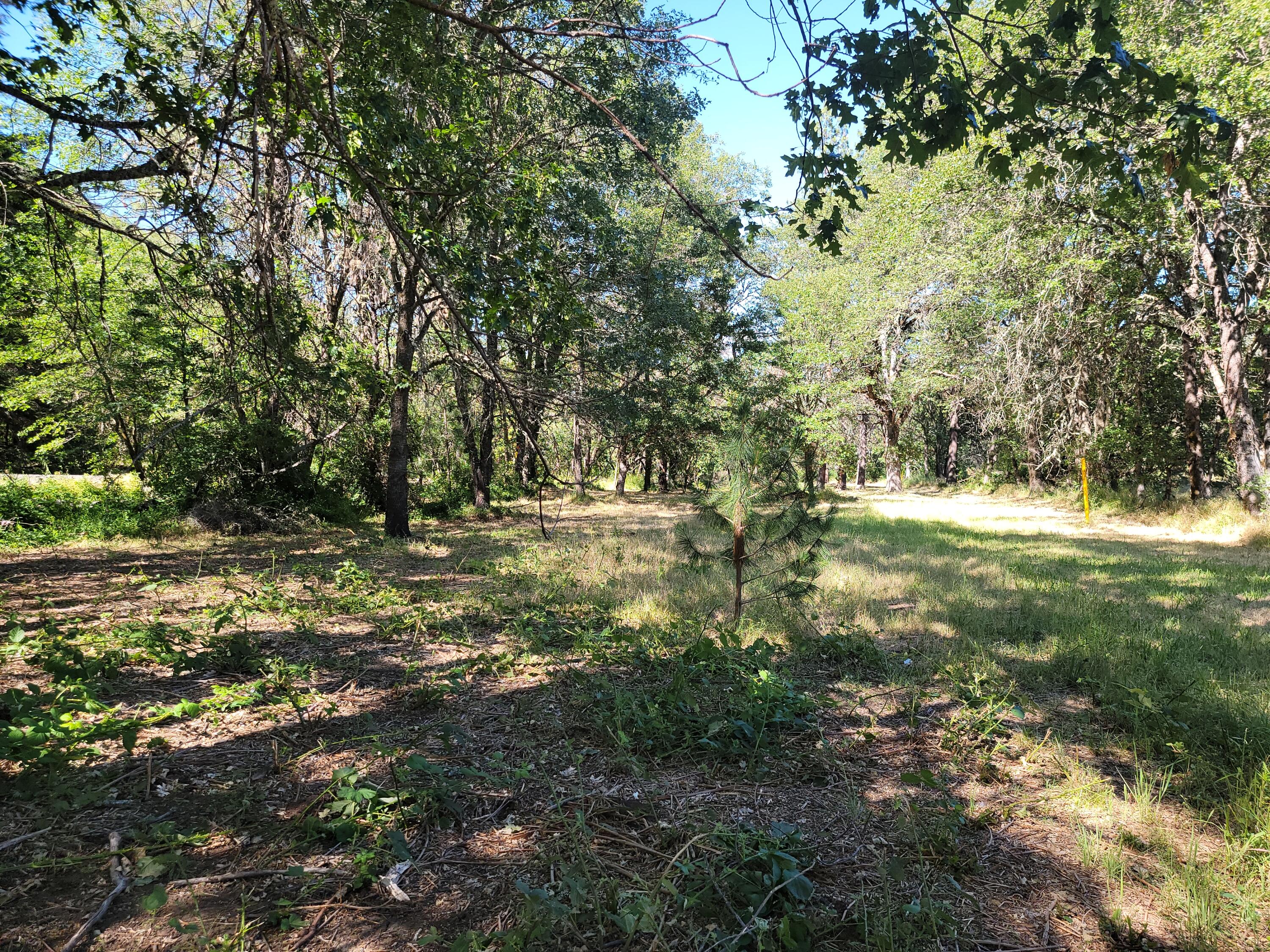 River North Road, Unit 3300 Gold Hill, OR 97525 - Photo 22 of 43 20240605_162938