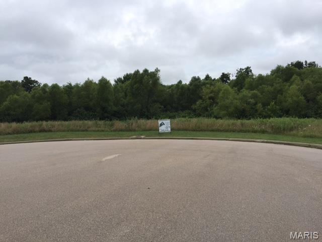 0 Progress Drive, Unit LOT 4 Sullivan, MO 63080 - Photo 8 of 13