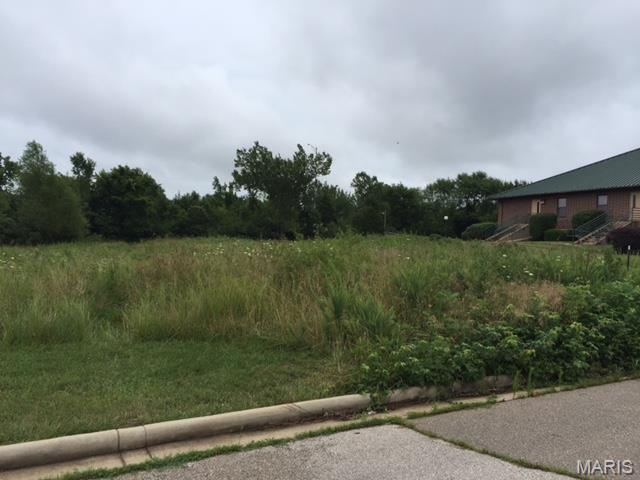 0 Progress Drive, Unit LOT 4 Sullivan, MO 63080 - Photo 9 of 13