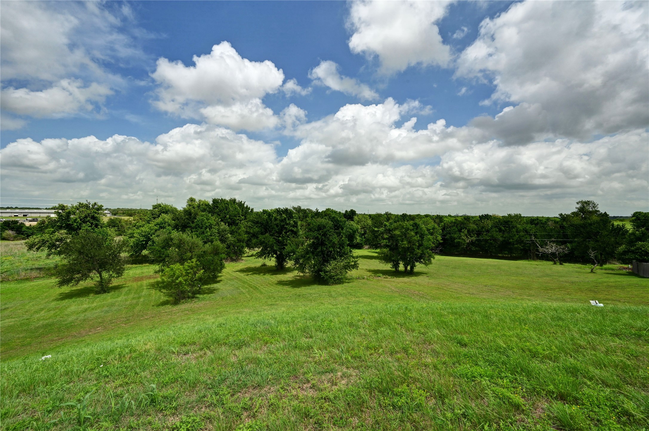 1700 Tanner Loop Taylor, TX 76574 - Photo 10 of 32 Expansive green landscape featuring mature trees
