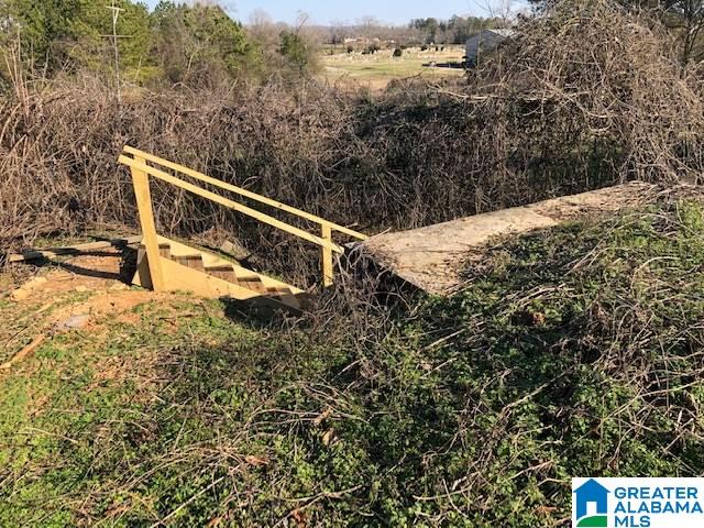 270 Parker Road Cropwell, AL 35054 - Photo 14 of 16