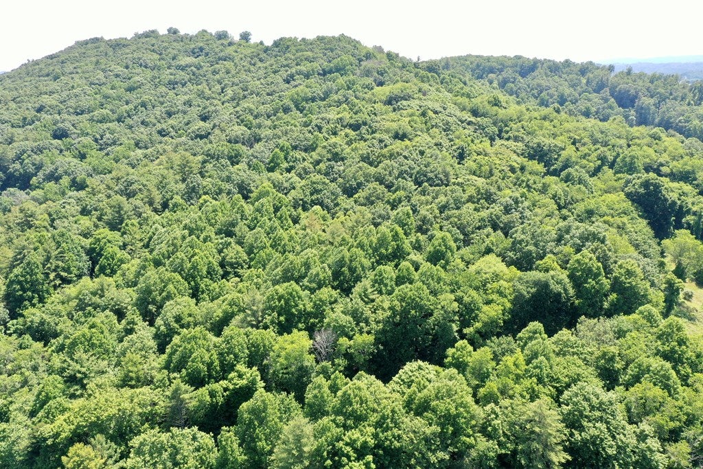 Tbd Turkey Knob Road Fries, VA 24330 - Photo 2 of 6 Gallery Image 2