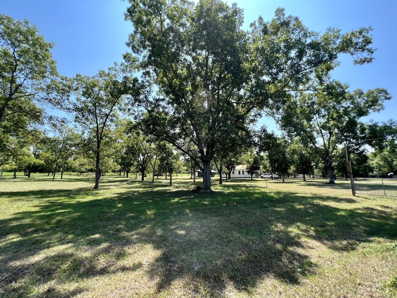 14253 Woodhaven Dairy Road East Summerdale, AL 36580 - Photo 45 of 50