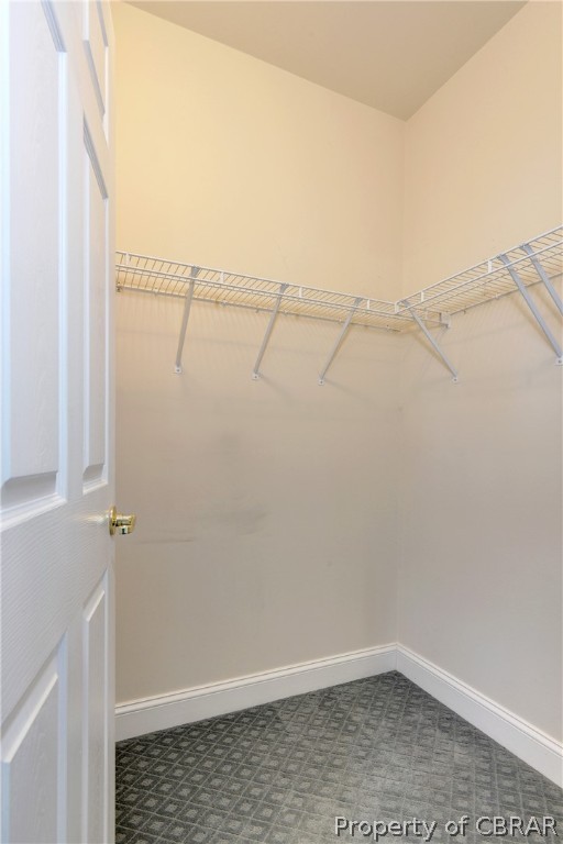 4244 Old Lock Road Williamsburg, VA 23188 - Photo 20 of 31 One of three primary suite closets.
